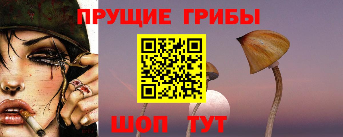 Галлюциногенные грибы MAGIC MUSHROOMS Мценск